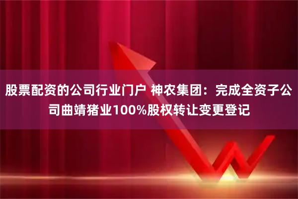 股票配资的公司行业门户 神农集团：完成全资子公司曲靖猪业100%股权转让变更登记
